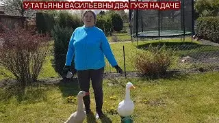 RUSSIAN WOMAN, TATYANA VASILIEVNA AND HER DACHA, GERMANY...