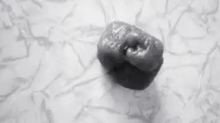Лизун из Авроры прошло 10 дней!