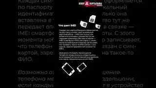 Что переписывают на границе Беларуси с телефона?