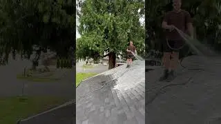 What Oxygen Bleach does to a roof