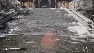 Wukong Invisibility glitch