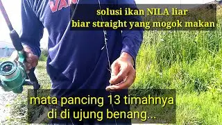 SOLUSI NILA LIAR MALAS MAKAN