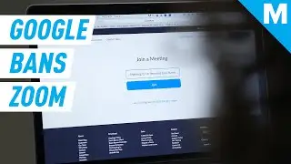 Google Banning Zoom At Work Over Security Concerns | Mashable News