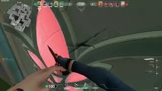 Reyna 38 kills full gameplay