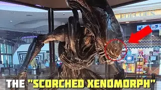 New Xenomorph in ALIEN ROMULUS Officially Named