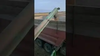 #уборкариса