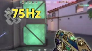 Gekko but it's on 75Hz