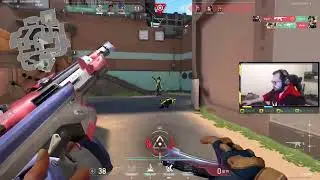 Neon Ace ZenonD