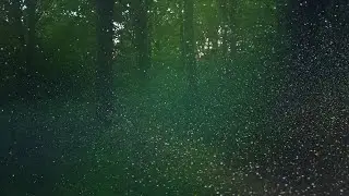 𝓱𝓮𝓪𝓵𝓲𝓷𝓰 𝓯𝓸𝓻𝓮𝓼𝓽 [ASMR] breathwork meditation, fully whispered
