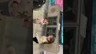 #дети #детскиепесни #мультики #песенки #для_детей #садик