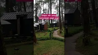 Suasananya nyaman dan tenang disini