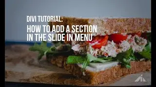 Divi - Adding sections to the slide in menu