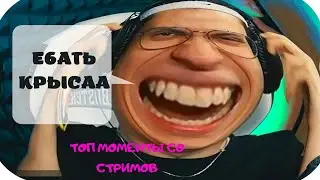 БУСТЕР БЕЖИТ ЗА КРЫСОЙ 😂 ТОП МОМЕНТЫ СО СТРИМОВ | ТОП МОМЕНТЫ С ТВИЧ