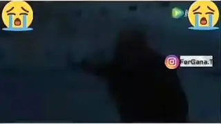 Шукур килинг