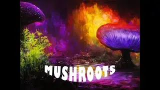 Mushroots Trailer