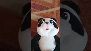 что там шуршит