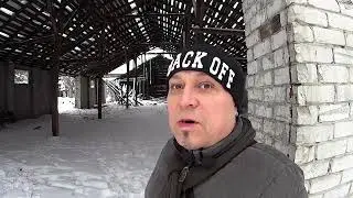 На меня напала стая бродячих собак