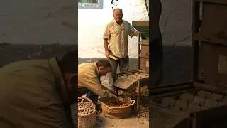 #SHORT