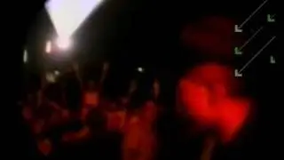 tatu in concert