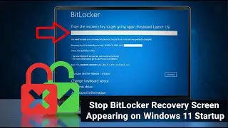 How to Fix BitLocker Recovery Screen During Boot on Windows 11 | 100% Working Guide