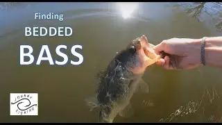 Burning Banks for BEDDED BASS