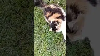 ужас- я чувствовала ЭТО ногой