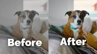 How to install LUTs on the Canon R5 Mark II