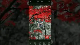 Carmen Photography Background Photo Editing Tutorial In Picsart 📸 #shorts