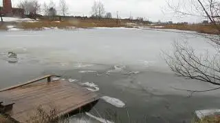 КТО  со  МНОЙ  на  ПРОГУЛКУ
