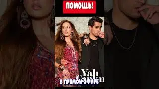ЗИМОРОДОК, ОМЕР И КРУПЬЕ помогут пострадавшим от землетрясения, в прямом эфире канала Star TV.