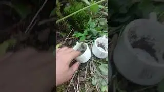 Сорвал джекпот !!!