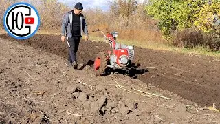 МОТОБЛОК ПАШЕТ САМ, я просто ИДУ РЯДОМ...