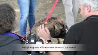 RSPCA Animal Photography Workshop