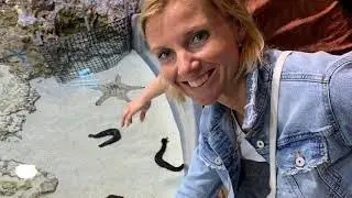 #Окинава Океанариум Тюрауми самостоятельная поездка #Okinawa Churaumi Aquarium, #日本
