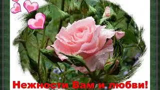 Дарите женщинам цветы