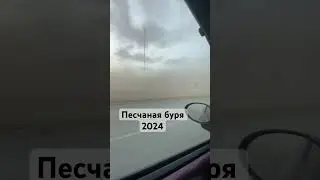 #зарулем