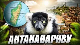 ANTANANARIVO. The capital of Madagascar. Tsimbazaza park, lemures and the worst city I've ever seen