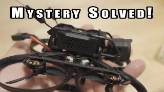 Pavo Pico Jello Mystery SOLVED! 🤯