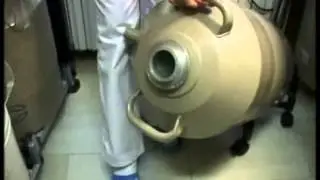 экстракорпоральное оплодотворение