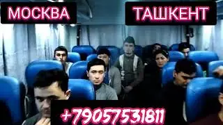 МАСКВА ТОШКЕНТ ДАВЛАТ РЕЙСЛАРИ