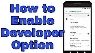 How to Enable Developer option in android
