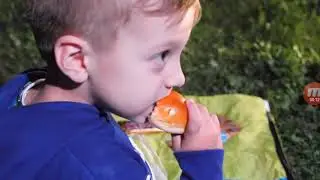 Ночью Дети Одни Устроили Пикник На Улице