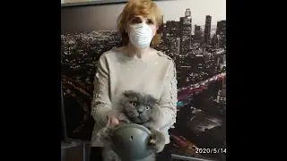 38 дней на карантине!