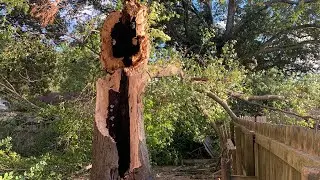 Wind Storm Caused Chaos