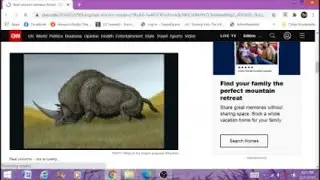 Real Siberian Unicorn Remains Found Paranormal News