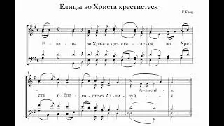 Е.Евец Елицы во Христа крестистеся