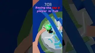 I raced the TOP 2 Tower of Hell player! (wislucas2) 