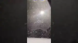 Любовь навечно
