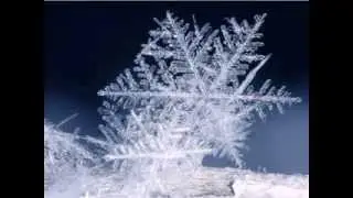 СНЕЖИНКИ