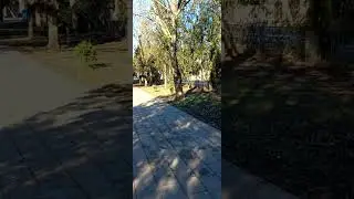 я за стабильность а вы?